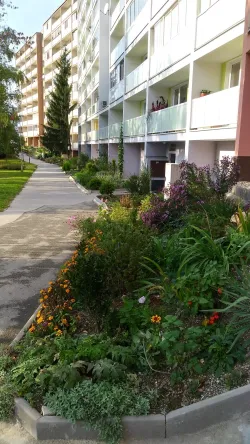 Fotografia miesta 3 od Úrazová chirurgia - MUDr. Miloslav Klíma