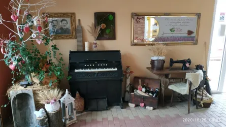 Fotografia miesta 7 od Zariadenie spoločných vyšetrovacích a liečebných zložiek - ORTHOS, s.r.o. - MUDr. Dagmar Cíbiková