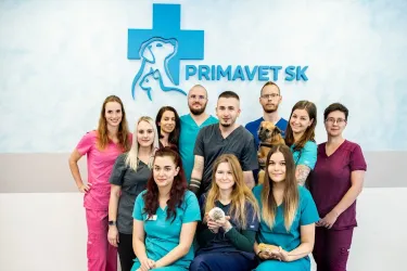 Fotografia miesta 1 od Veterinárna klinika PrimaVet