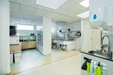 Fotografia miesta 2 od Veterinárna klinika PrimaVet