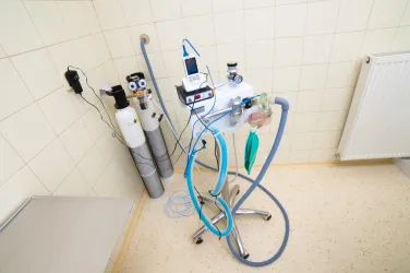 Fotografia miesta 5 od Veterinárna klinika PrimaVet