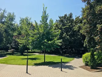 Fotografia miesta 3 od Lekáreň JESENIUS - LEKÁREŇ JESENIUS ŠAMORÍN s.r.o. -Mgr. Lubica Volentičová