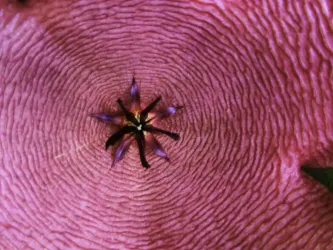 Fotografia miesta 3 od Ambulancia vnútorného lekárstva - MED-CENTRUM, s.r.o. - MUDr. Slavomír Šuch