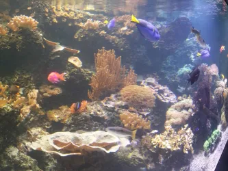 Fotografia miesta 3 od Neurologická ambulancia - MUDr. Juraj Jantošík, NEUROLÓGIA ŠTÚROVO, s.r.o.