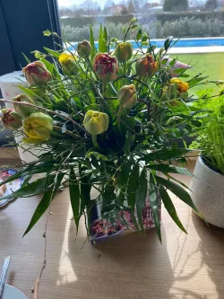 Fotografia miesta 10 od Zubná ambulancia - Dr. Dmytro SKRYP