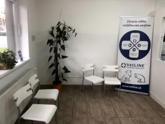Fotografia miesta 4 od Mobilná veterina ZVIERACÍ DOKTOR