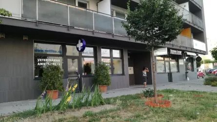 Fotografia miesta 10 od Mobilná veterina ZVIERACÍ DOKTOR