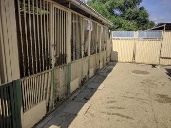 Fotografia miesta 3 od Mestský útulok Poprad