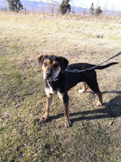 Fotografia miesta 8 od Mestský útulok Poprad