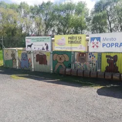 Fotografia miesta 9 od Mestský útulok Poprad