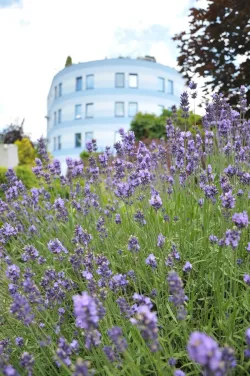 Fotografia miesta 3 od UNICENTRUM, UNIPHARMA - 1. slovenská lekárnická akciová spoločnosť