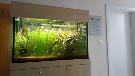 Fotografia miesta 3 od Ambulancia pediatrickej kardiológie Prof. MUDr. Alexander Jurko, PhD.