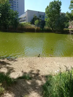 Fotografia miesta 9 od Všeobecná ambulancia pre dospelých, MUDr. Jana Dorovská, (Ružinovská poliklinika, a.s.)