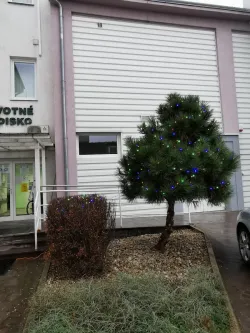 Fotografia miesta 7 od Psychiatrická ambulancia, MUDr. Andrea Voštinárová, (Poliklinika MarMedico, s. r. o.)