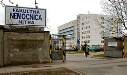 Lekári v Nitre pokračujú v štrajku aj po rokovaní s riaditeľom nemocnice