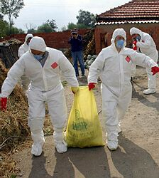 Južná Kórea začala likvidovať hydinu v okolí nového ohniska vtáčej chrípky