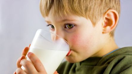 Svetový deň mlieka v školách - 29. september