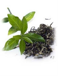 Zelený čaj – na zdravie a potešenie zmyslov