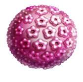 Silgard - „Oskar“ vo  farmaceutickom priemysle - priniesol nádej slovenským ženám