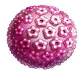 Silgard - „Oskar“ vo  farmaceutickom priemysle - priniesol nádej slovenským ženám