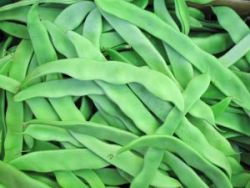 „Zelené“ potraviny a ich význam pre zdravie