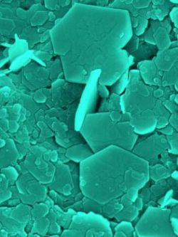 Zelené kladivo na najhoršie environmentálne jedy