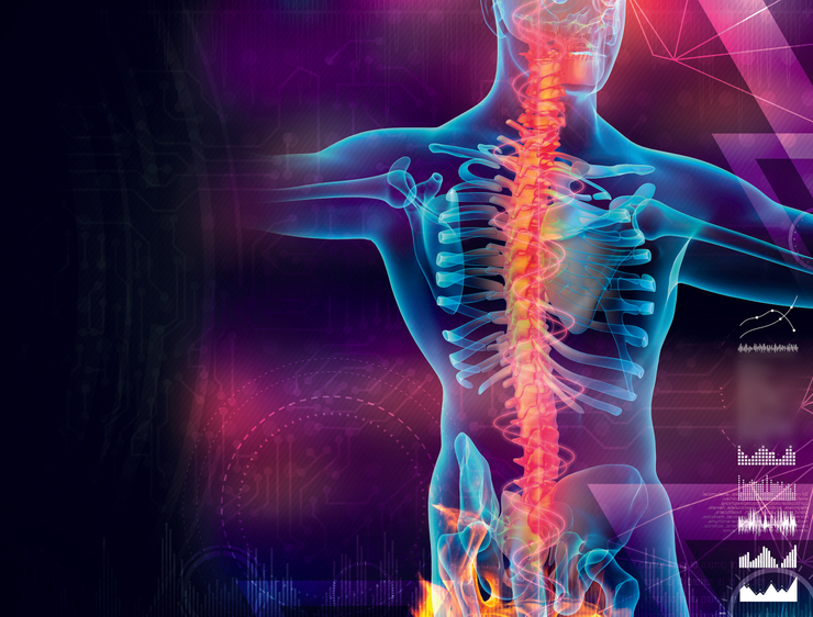 16. október - Svetový deň chrbtice