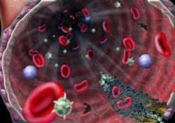 Vedci vykonali najdôkladnejšiu chemickú inventúru ľudskej krvi