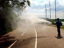 V Bratislavskom kraji zaznamenali kalamitný výskyt komárov