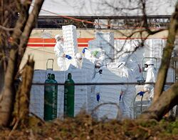 Úhyn 17 kusov hydiny na západe Japonska mohla spôsobiť vtáčia chrípka