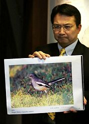 Čína varuje pred masívnym vypuknutím vtáčej chrípky