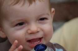 Pupočníková krv v regeneratívnej medicíne