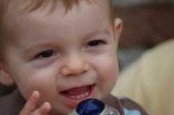 Pupočníková krv v regeneratívnej medicíne