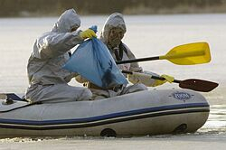 Česko má oficiálne potvrdený prvý prípad vírusu H5N1