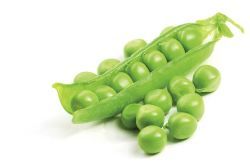 „Zelené“ potraviny a ich význam pre zdravie