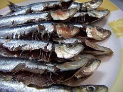 Srdcovocievnym ochoreniam možno predchádzať aj správnou stravou