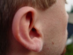 Tinitus – hučanie v ušiach