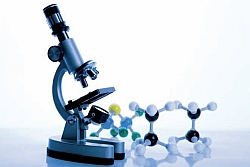 Kmeňové bunky – nádej pre medicínu