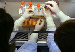 Británia chce na výskume kmeňových buniek spolupracovať s Kaliforniou