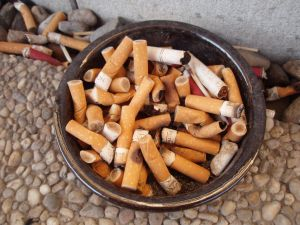 WHO: Fajčenie môže v 21. storočí zabiť miliardu ľudí