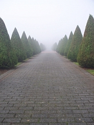 Paliatívna medicína