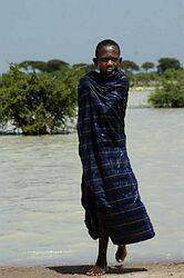 V Keni zomrelo na následky horúčky údolia Rift už najmenej 90 ľudí