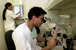 Transplantácia kmeňových buniek môže obnoviť poškodenú miechu