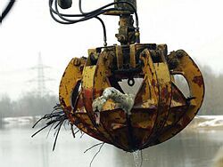 Lokálne testy v Rakúsku preukázali výskyt smrteľného vírusu H5N1