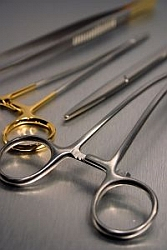 Transplantácia obličiek