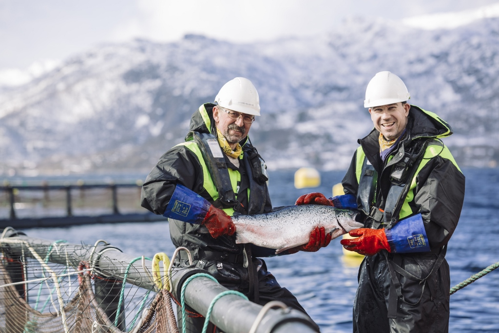 Nordlaks: Každá naša ryba je dohľadateľná