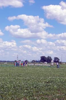 Nová klíma potrebuje nové odrody plodín