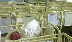 Nemocnici v Dolnom Kubíne za výmenu bábätiek hrozí pokuta do 5 miliónov korún