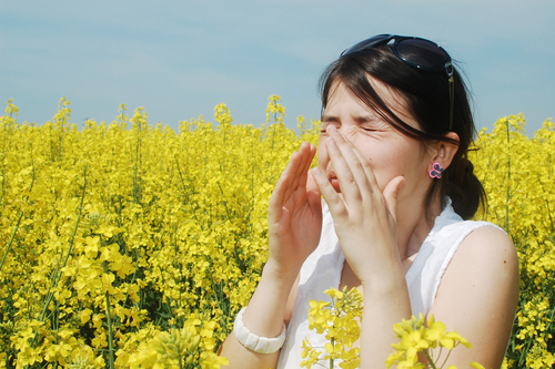Svetový deň alergii - 8. júla