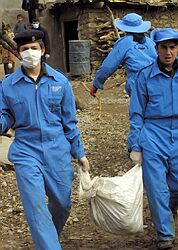V Iraku zomreli na následky vtáčej chrípky už traja ľudia